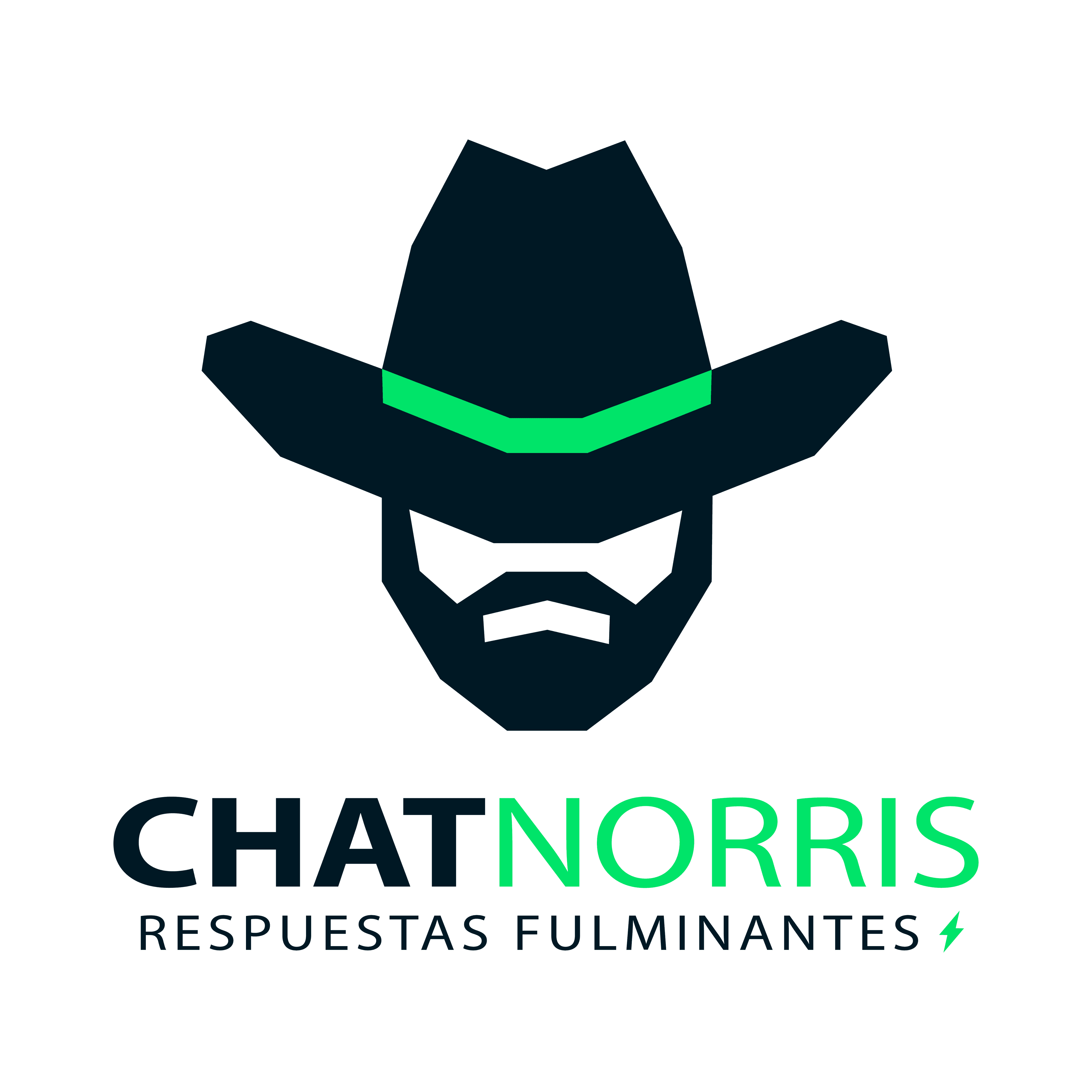 ChatNorris